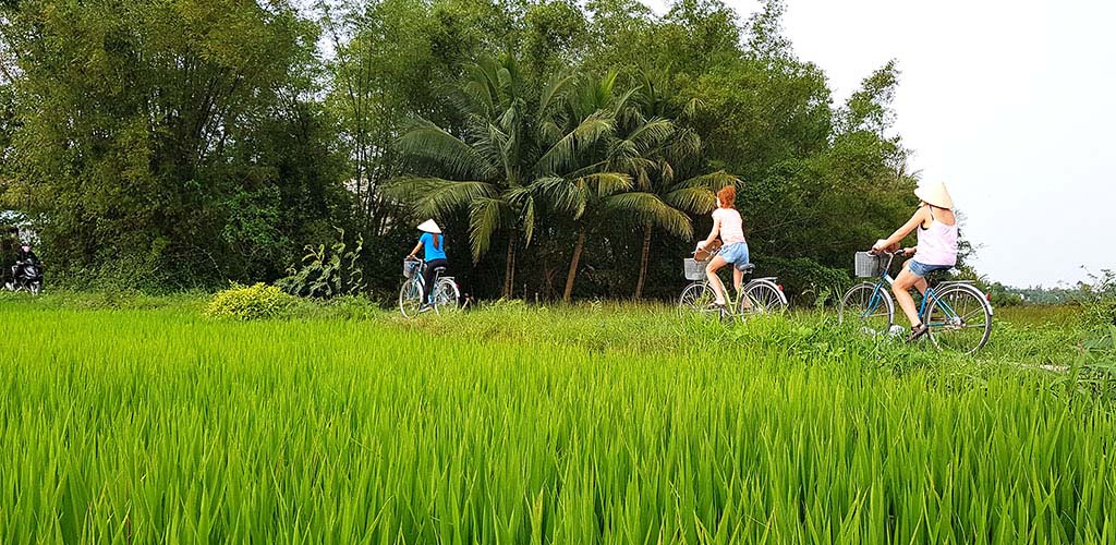 Bicycing tour through rice fieldsin Hoi An, Vietnam