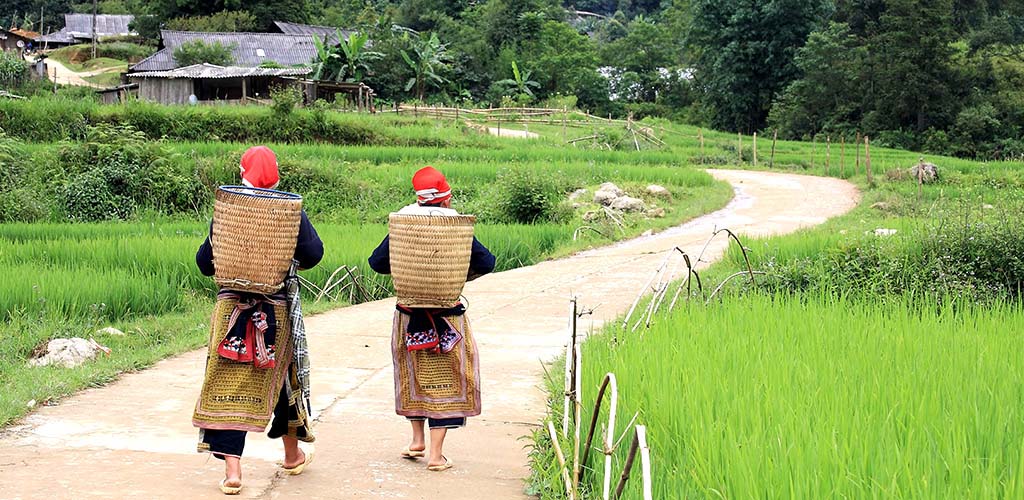 Hilltribe women in colorful walking past rice fields in Vietnam