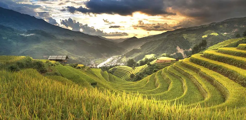 Terraced rice fields in Sapa, Vietnam