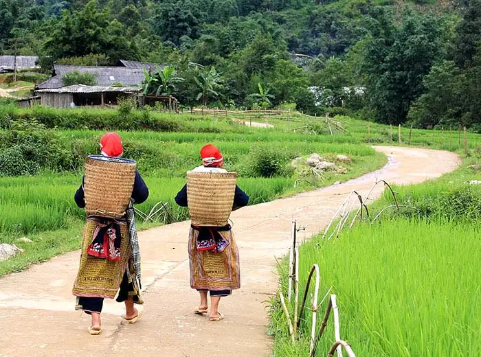 Red tai hilltribe women walking in Ninh Binh, Vietnam