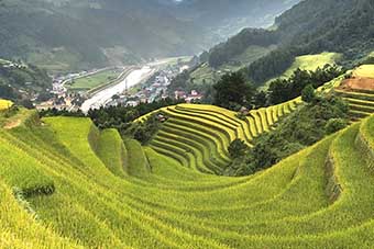 Rice terraces in Pu Luong, Vietnam
