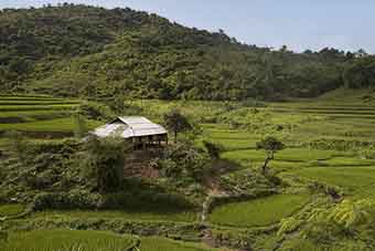 Vietnamese straw house