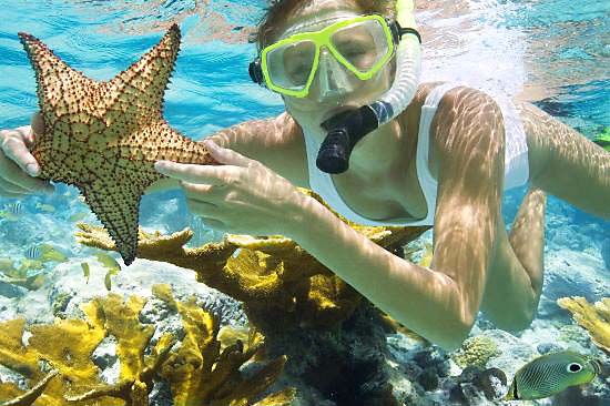 Snorkeling on Phu Quoc collage