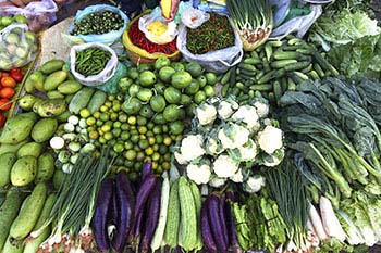 Fresh vegetables used in Vietnamese cooking
